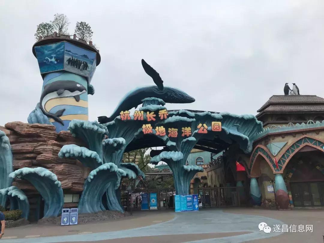 杭州长乔极地海洋公园表演,杭州长乔极地海洋公园攻略