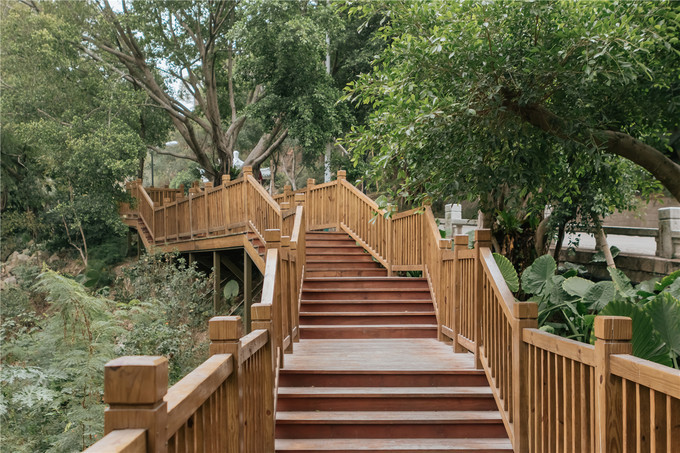 厦门旅游攻略两天两夜详细攻略,厦门旅游攻略一日游详细攻略