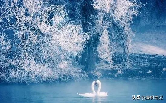 冬季情侣旅行地方推荐,情侣冬天适合去哪旅游