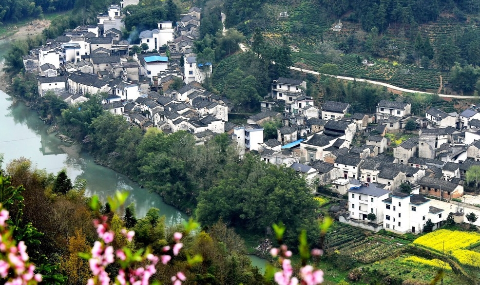 歙县观赏油菜花经典路线,歙县自驾游婺源看油菜花车停哪里