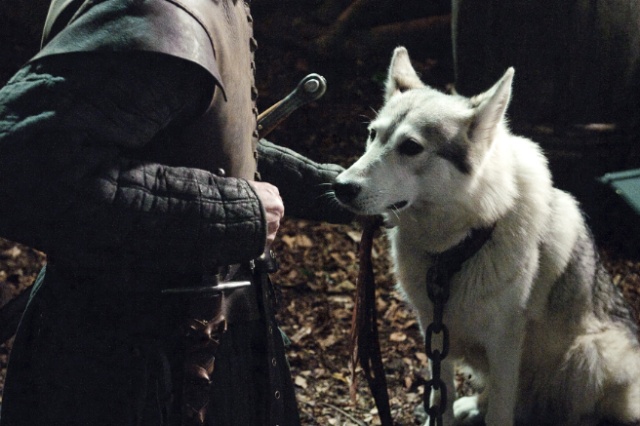 权力的游戏红袍女巫跟雪诺,冰原狼雪诺与白灵完整版