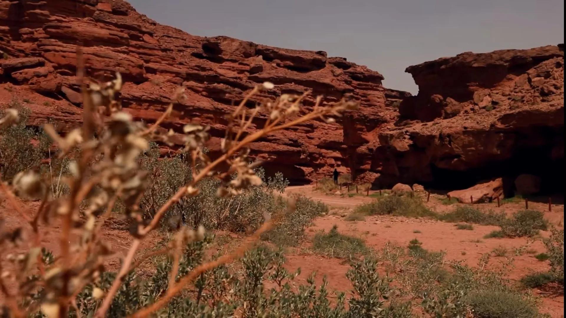 鑲栨垬鍙佹嬀鍐欑湡鍦堢矇,鍙佹嬀鑲栨垬