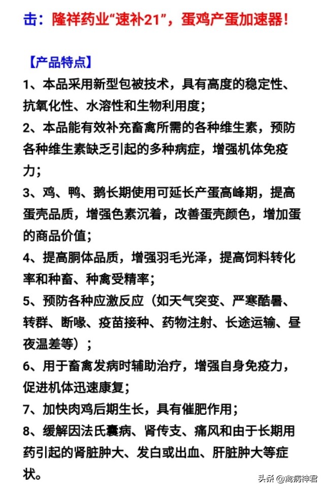 帮你详细了解鸡软脚病，一招治愈
