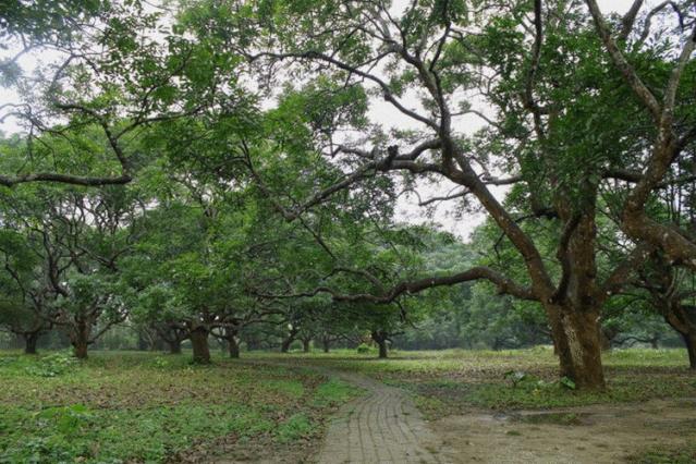 骞垮窞澧炲煄閲庤叮,骞垮窞澧炲煄鎰忓