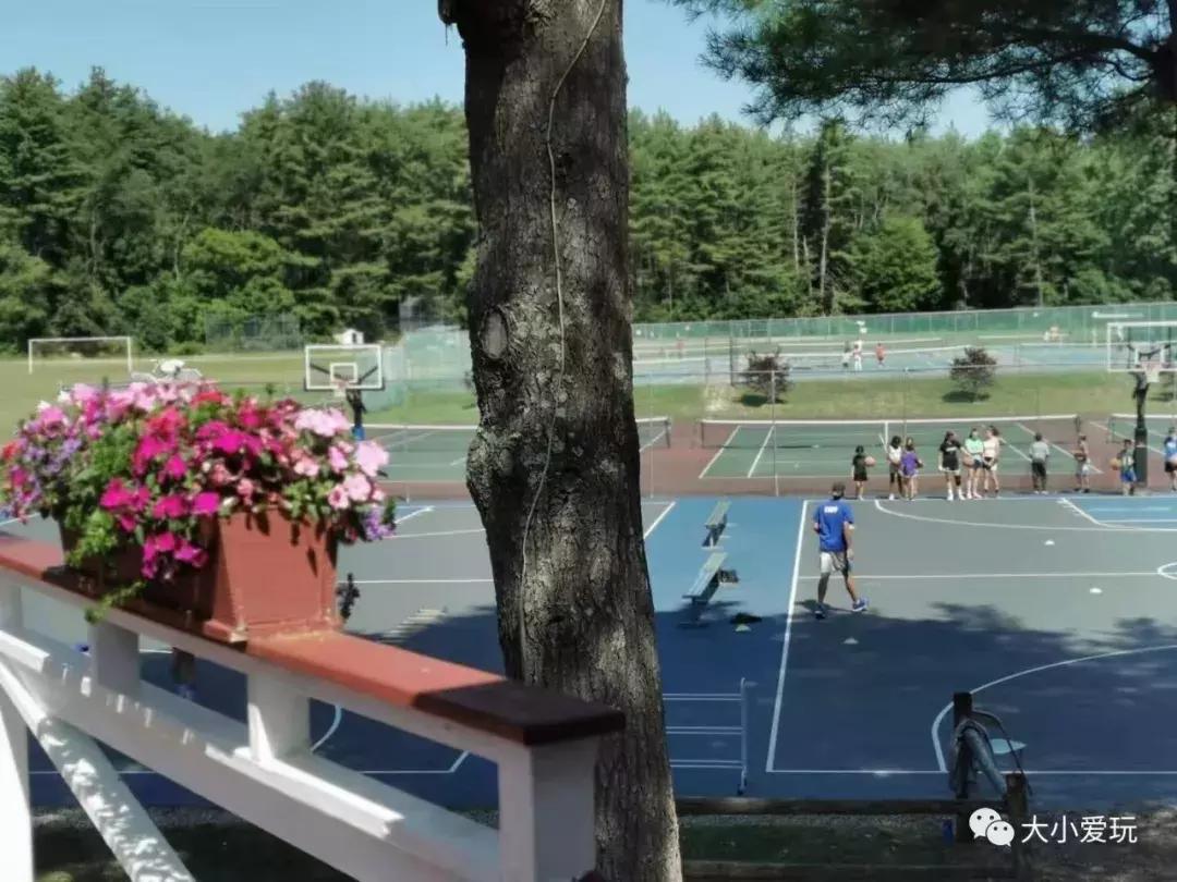 美国夏令营孩子,美国夏令营值得去吗