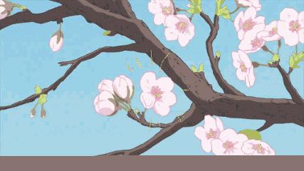 「大家谈」中学生该如何打架?美女老师教你几招