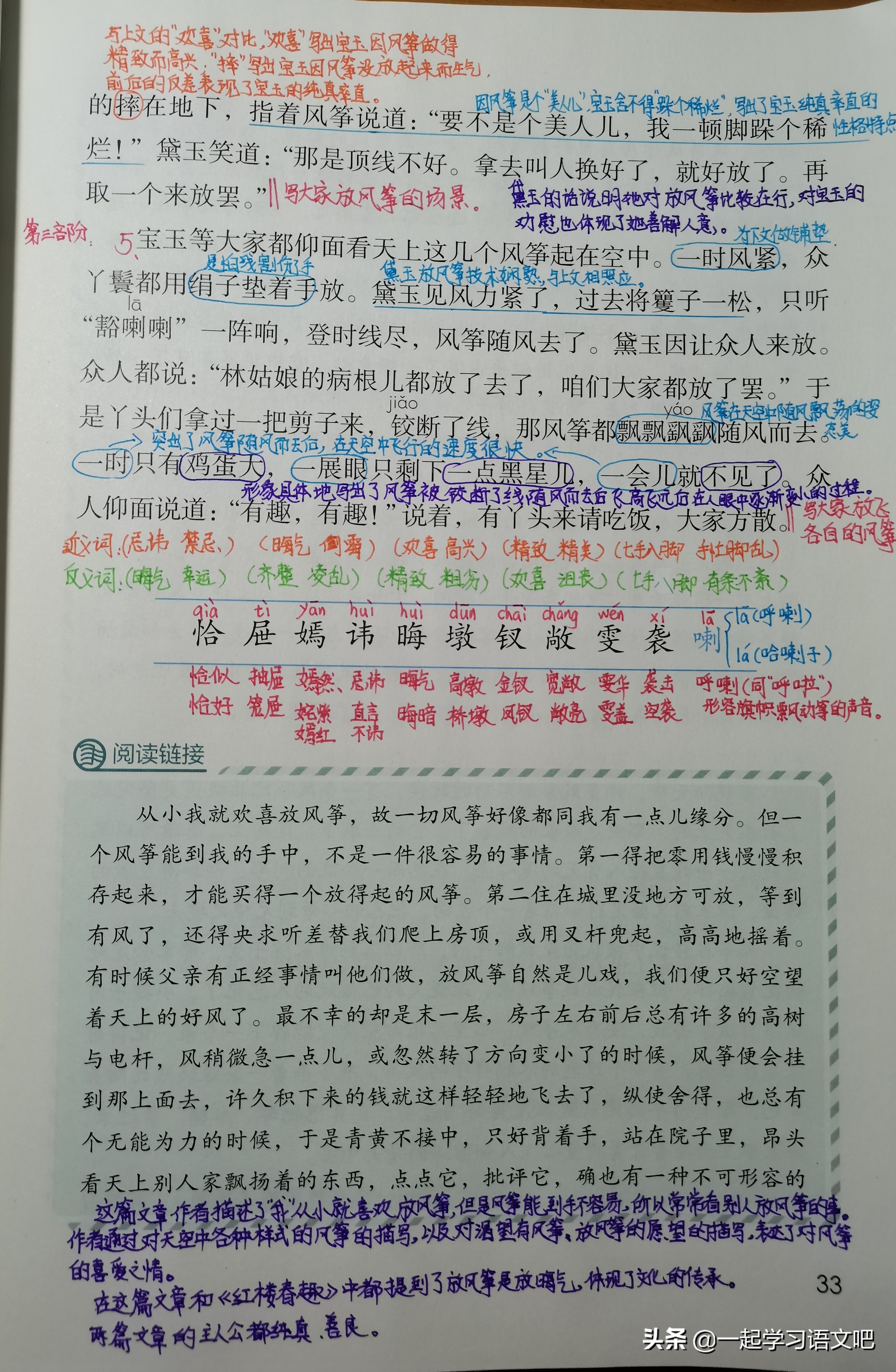 五年级语文红楼春趣笔记,五下语文第8课红楼梦春趣