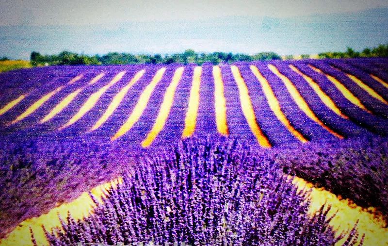 郑州发展的最新规划,郑州改名中州好吗