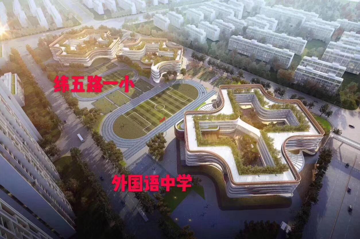 郑州教育新高地，11所学校深度解析，金水北实力到底有没有掺水？