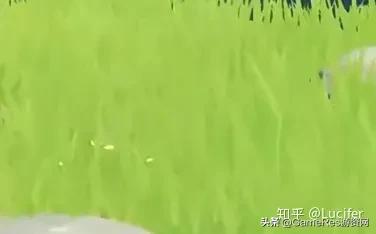 原神渲染精度高了没效果,原神用的渲染技术