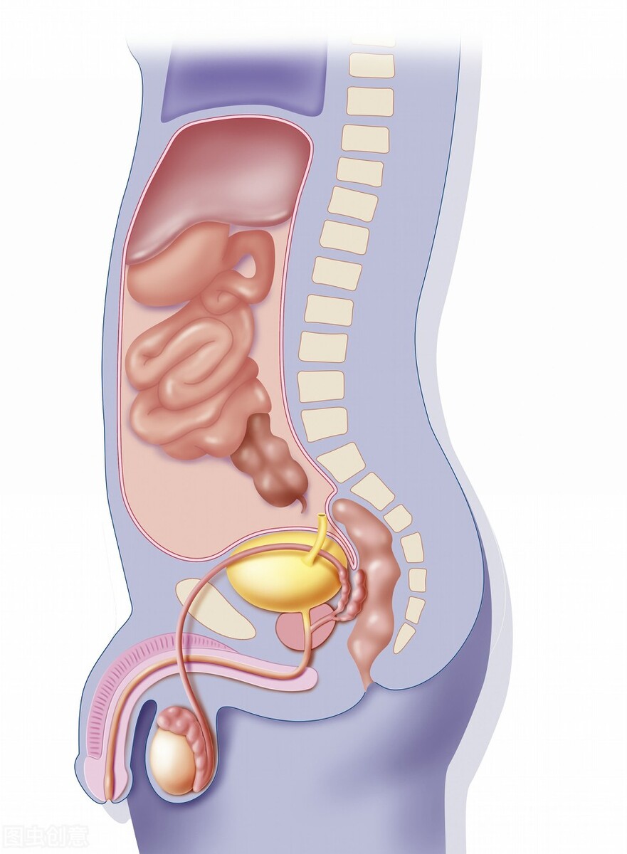 附子理中丸治腹泻几天见效,附子理中丸治疗腹泻拉稀