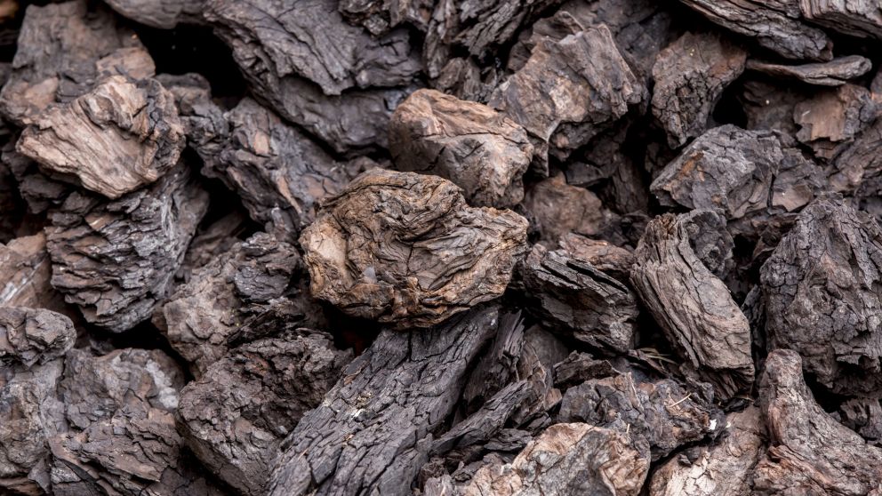 煤炭提降对煤炭价格的影响,煤炭价格上涨导致发电成本高