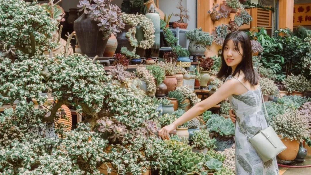 重庆轨道3号线,贵阳地铁3号线