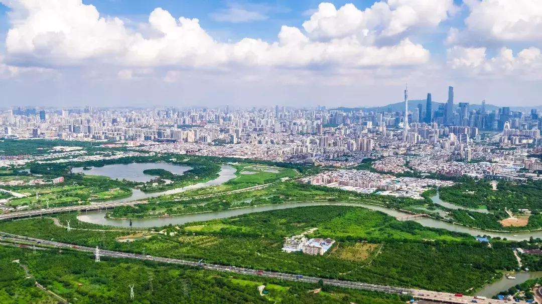 广州味道,广州味道的美食