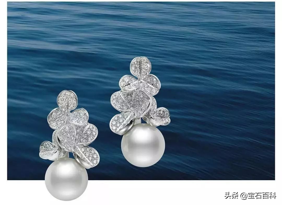 澳白珍珠和南洋金珍珠,澳白南洋白珍珠