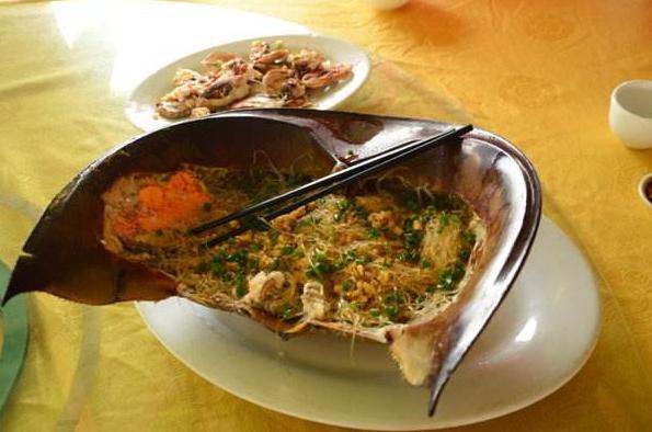 中华鲎的蓝色血液有什么用,中华鲎的血液长什么样