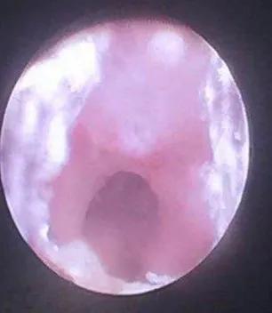 名医札记,名医札记张家华