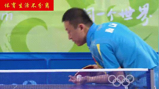 国乒绰号的由来:獒龙蟒、大小胖、大头、小枣、林妹妹…