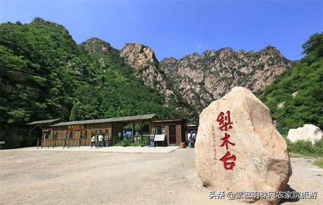 梨木台景林农家院,梨木台景林农家院直播