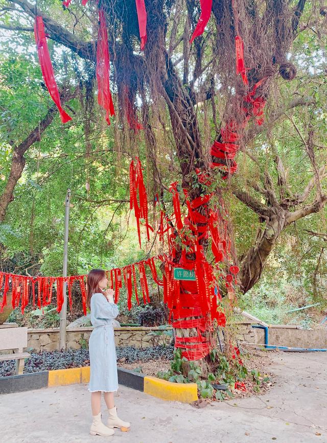 金叶子温泉一日游,去金叶子准备什么