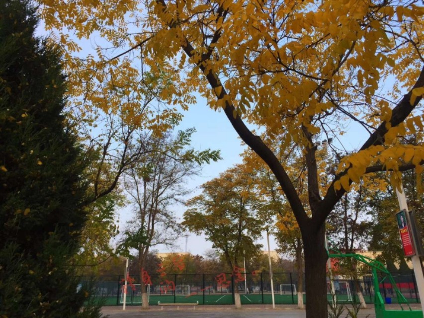 银川能源学校,银川能源校园风景