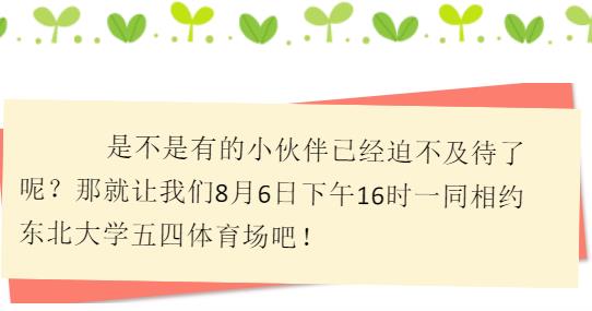 2024沈阳和平杯足球比赛时间,沈阳和平杯青少年足球开幕式