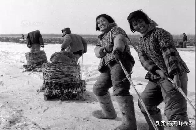 伟大的新疆,伟大的阿勒泰