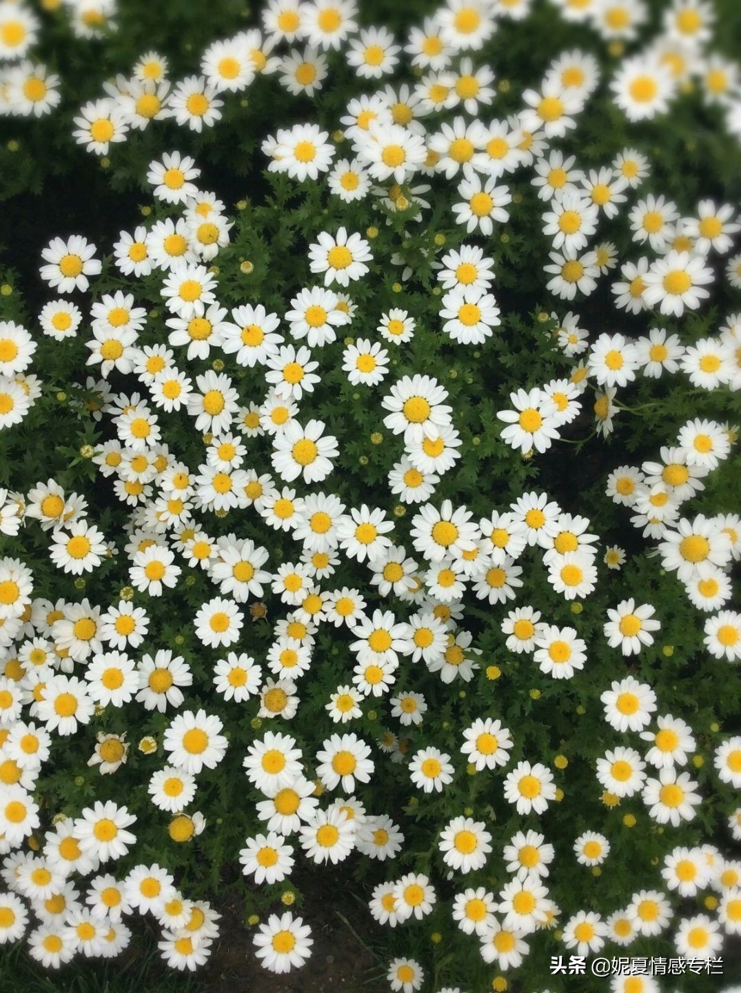 一封丈夫出轨的信,一封关于出轨的信