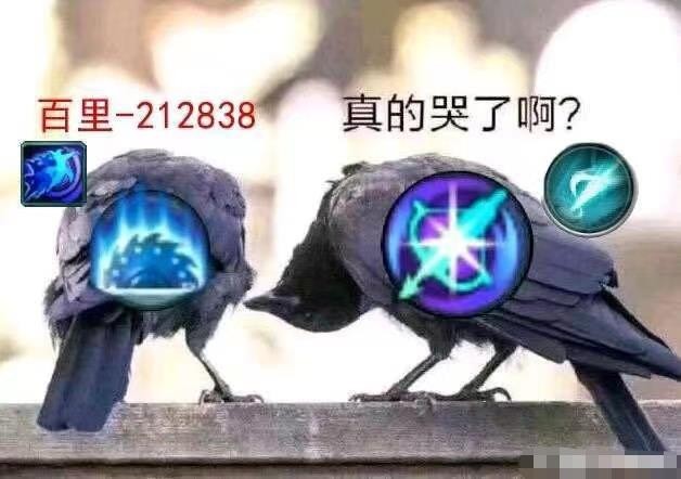 剑网三剑气之争,剑网三打败大龙