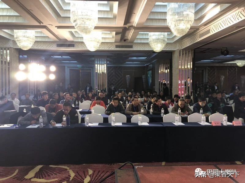 赋能新科技，肥效是王道——五洲丰2019新品交流会在烟台顺利召开