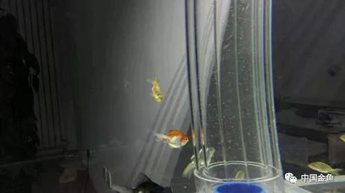 我向媳妇保证，最后一个缸