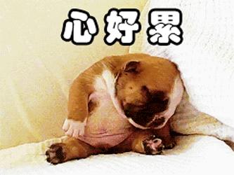 养肤粉底有用吗,养肤粉底液可靠吗