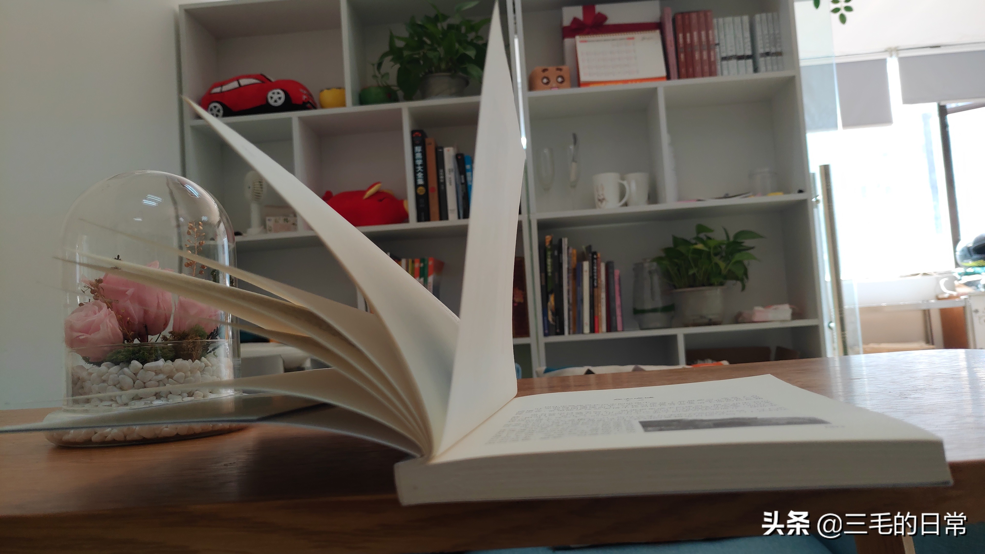 年轻人创业笔记,杂谈个人成长和创业