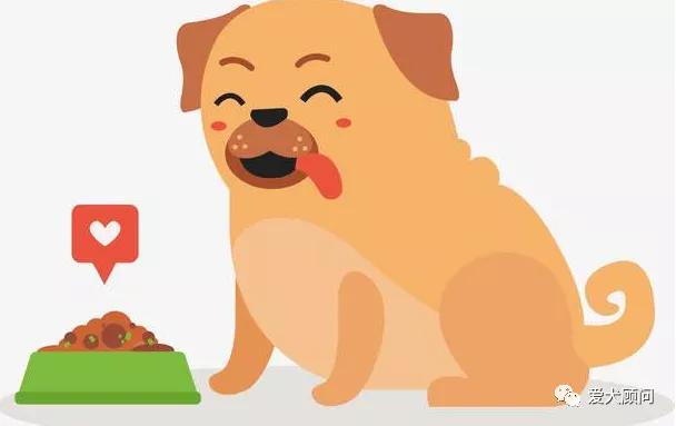 外面买的狗粮怎样做,怎么给狗狗准备狗粮