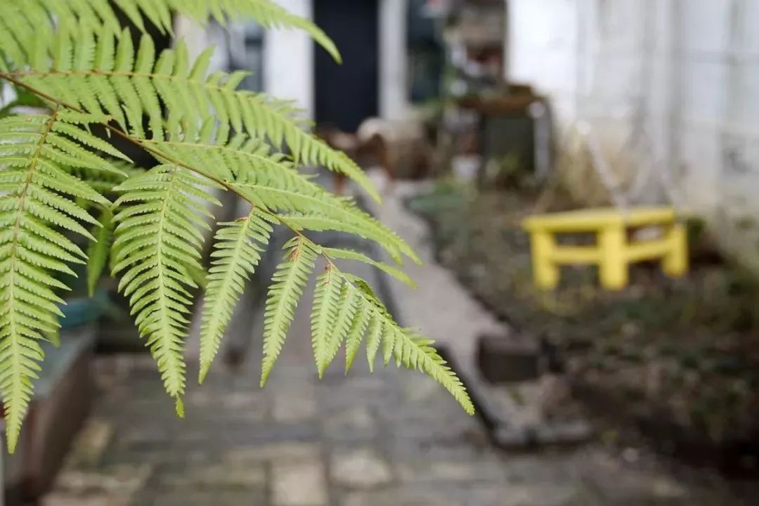 无锡十大精品店,无锡一家有逼格的店