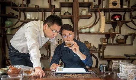 科学家找到的残缺的恐龙化石,灭绝物种缅甸琥珀