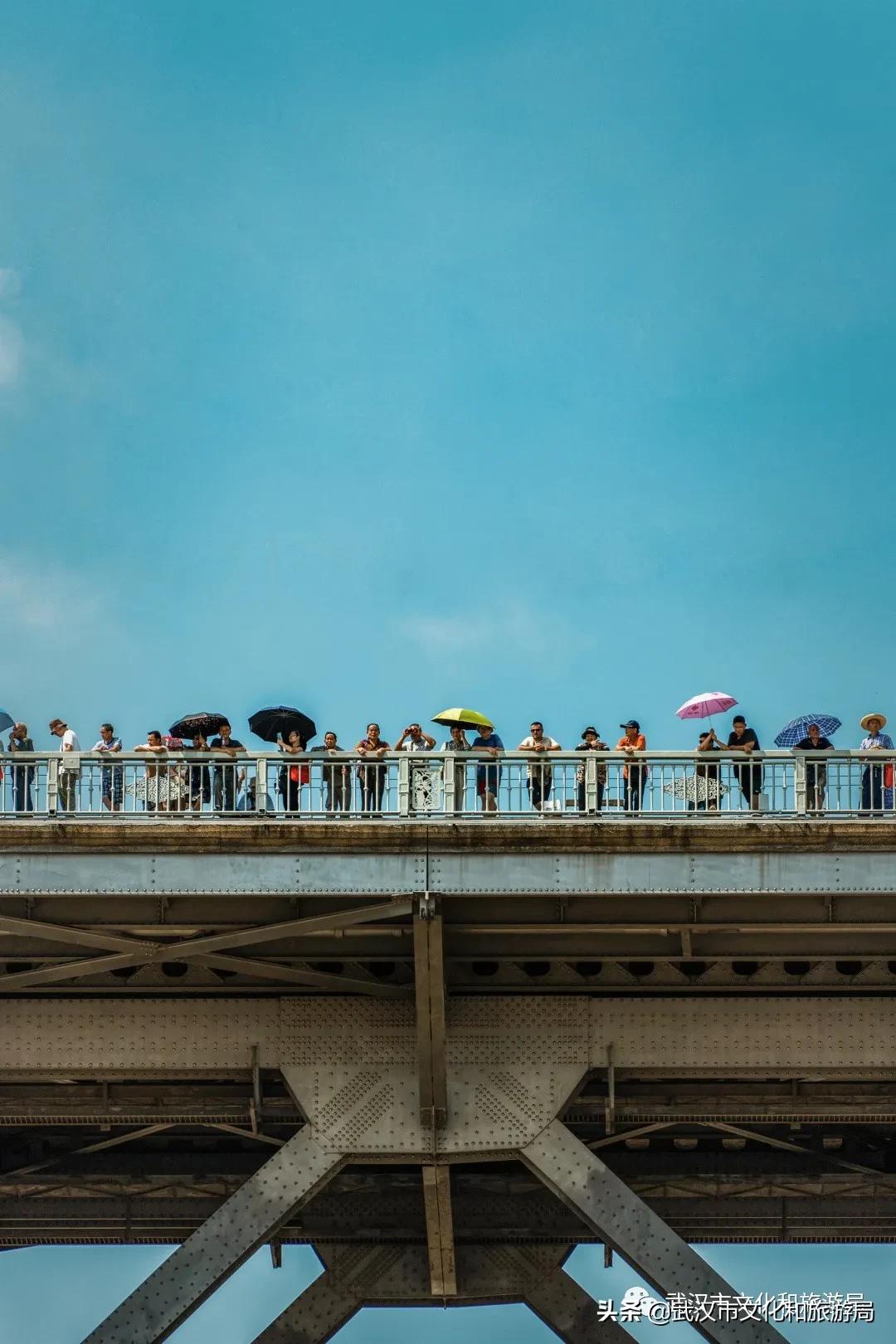 武汉渡江节获奖,3-6岁佩奇