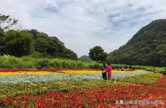 广东省内五一去哪里玩儿比较好,五一去哪里玩广东旅游攻略