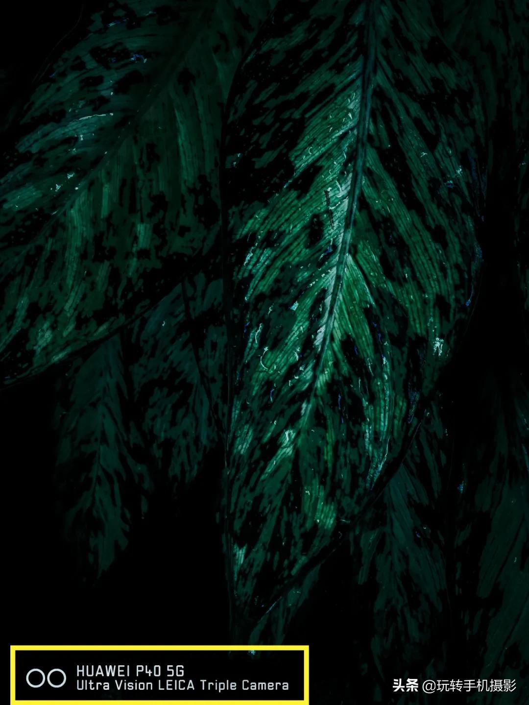 oppo手机必须关掉的几个功能,手机拍照不好看要关闭哪一个功能