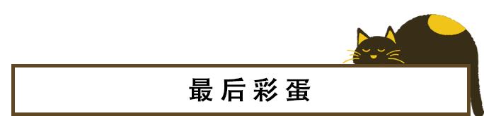 猫咪的天线有什么区别 (猫咪可以自带天线吗)