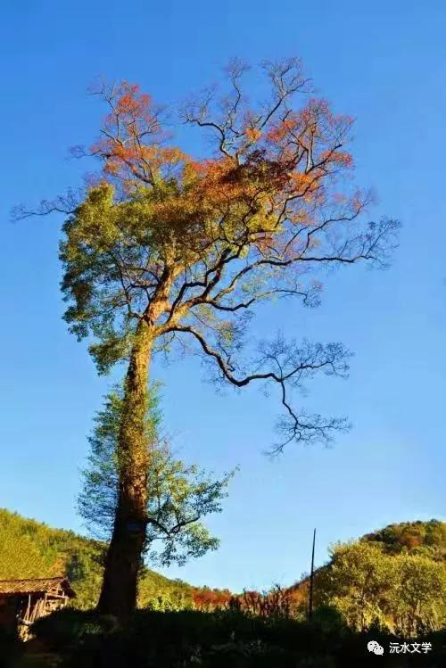 沅陵古城的回忆,湖南沅陵县水乡之城