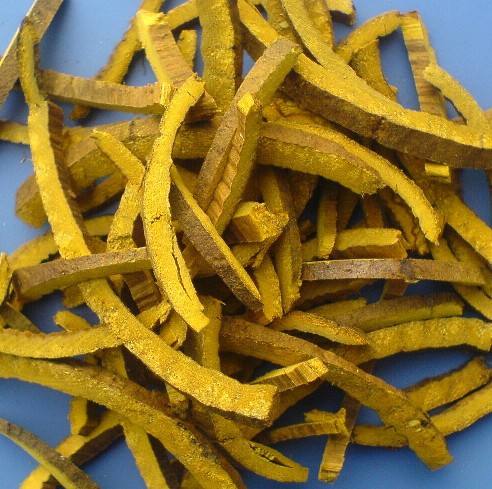 《中药二》考点梳理（五）——清热燥湿药5味