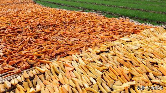 农村快递进村最新政策,快递进村物流政策