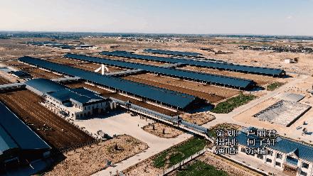 魔音贯耳席卷而来,魔音贯耳唱歌