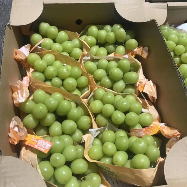 深圳哪个品牌蛋糕最好吃,深圳网上订蛋糕哪家最好