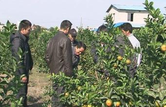 学习做点小生意,学习小创业好项目