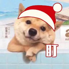 不用扫描仪就能提取图片,快速提取图片文字的工具