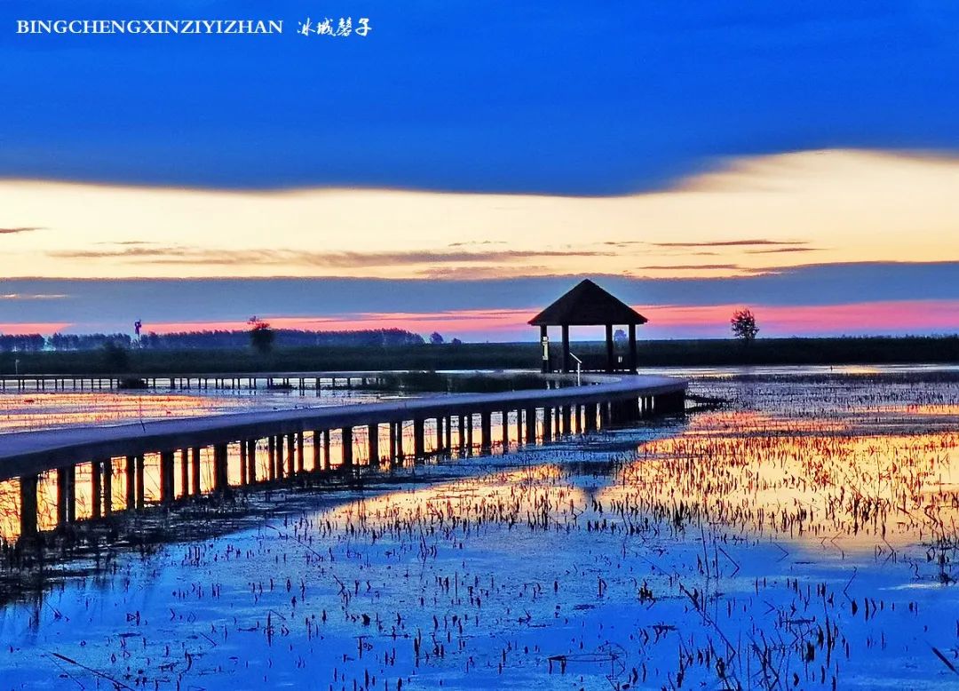 再返富锦，为着那份飘着稻花香的“湿”意约定