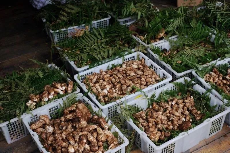 24小时丨吃饱喝足，我醉在了昆明的小夜风里