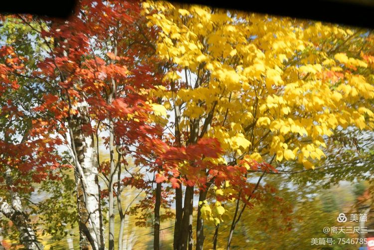 漫步魁北克体验不一样的北美风情,北美枫情蒙特利尔